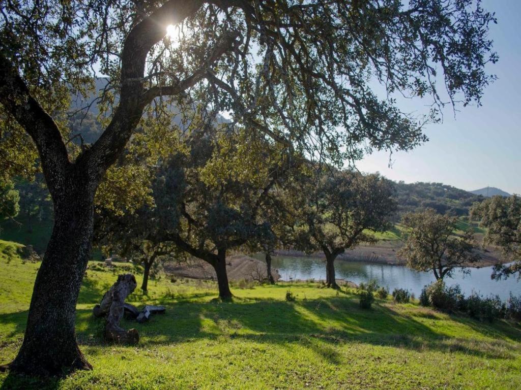 Finca La Vicaria Palomar Zufre Eksteriør billede