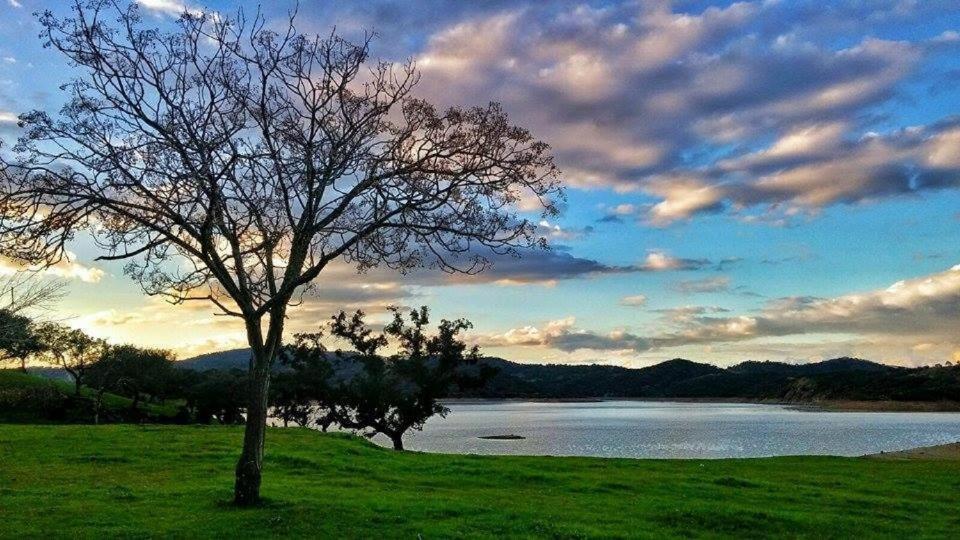 Finca La Vicaria Palomar Zufre Eksteriør billede